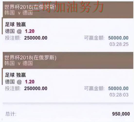 世界杯买球平台推荐合集：覆盖主流网站与入口方式 - 世界杯数据